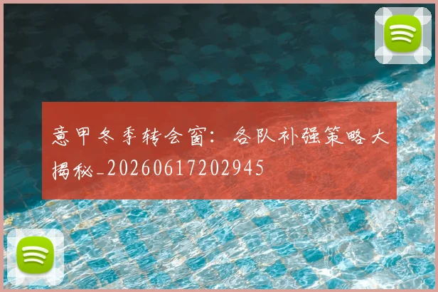 意甲冬季转会窗:各队补强策略大揭秘_20260617202945