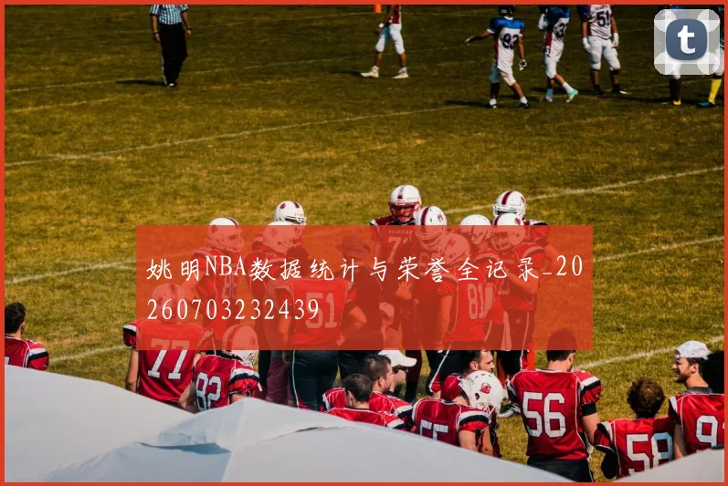 姚明NBA数据统计与荣誉全记录_20260703232439