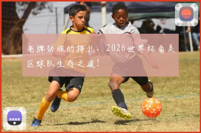 老牌劲旅的挣扎，2026世界杯南美区球队生存之道！